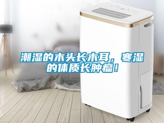 企業新聞潮濕的木頭長木耳，寒濕的體質長腫瘤！