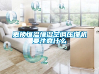 知識百科更換恒溫恒濕空調(diào)壓縮機(jī)要注意什么