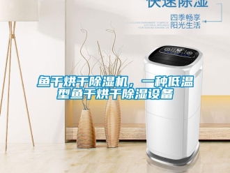知識百科魚干烘干除濕機，一種低溫型魚干烘干除濕設備