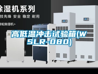 常見問題高低溫沖擊試驗(yàn)箱(WSLR-080)