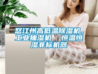 常見問題怒江州高低溫除濕機(jī)，工業(yè)抽濕機(jī)  恒溫恒濕非標(biāo)機(jī)器
