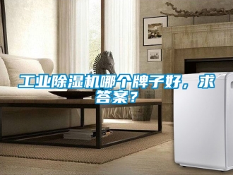 常見問題工業(yè)除濕機(jī)哪個牌子好，求答案？