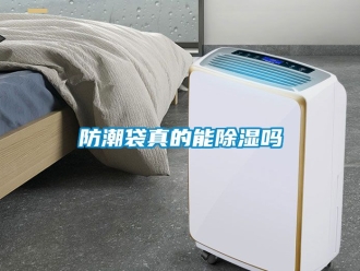 常見(jiàn)問(wèn)題防潮袋真的能除濕嗎