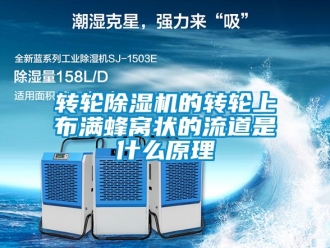 常見問題轉輪除濕機的轉輪上布滿蜂窩狀的流道是什么原理