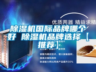 企業(yè)新聞除濕機國際品牌哪個好 除濕機品牌選擇【推薦】