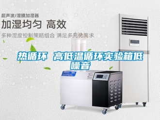常見問題熱循環(huán) 高低溫循環(huán)實驗箱低噪音