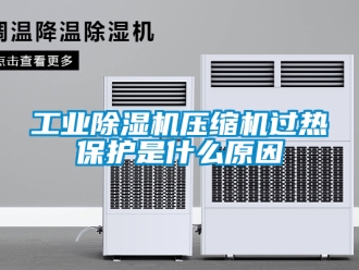 常見問題工業(yè)除濕機(jī)壓縮機(jī)過熱保護(hù)是什么原因