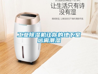 企業(yè)新聞工業(yè)除濕機讓你的地下室遠(yuǎn)離潮濕
