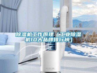 常見問題除濕機工作原理（工業(yè)除濕機10大品牌排行榜）