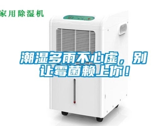 企業新聞潮濕多雨不心虛，別讓霉菌賴上你！