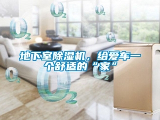 企業(yè)新聞地下室除濕機(jī)，給愛車一個(gè)舒適的“家”