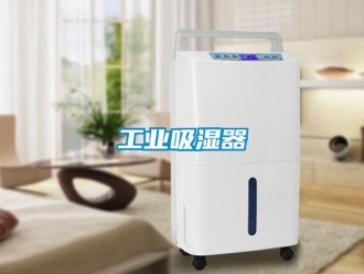 企業(yè)新聞工業(yè)吸濕器