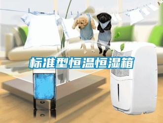常見問題標準型恒溫恒濕箱