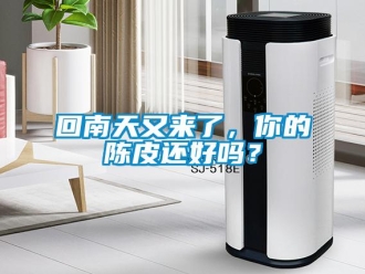 常見問題回南天又來了，你的陳皮還好嗎？