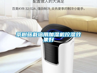 企業(yè)新聞茶樹菇栽培用加濕機(jī)控濕效果好