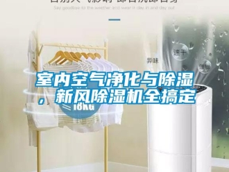 知識百科室內(nèi)空氣凈化與除濕，新風除濕機全搞定