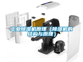 常見問題工業(yè)除濕機(jī)原理（除濕機(jī)的結(jié)構(gòu)與原理）