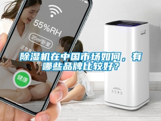 企業(yè)新聞除濕機在中國市場如何，有哪些品牌比較好？