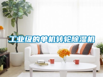 常見問題工業(yè)級(jí)的單機(jī)轉(zhuǎn)輪除濕機(jī)