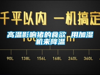企業新聞高溫影響豬的食欲 用加濕機來降溫