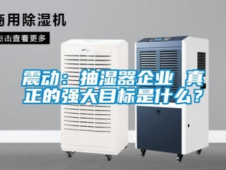 知識(shí)百科震動(dòng)：抽濕器企業(yè) 真正的強(qiáng)大目標(biāo)是什么？