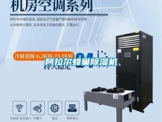 企業新聞阿拉爾蜂巢除濕機
