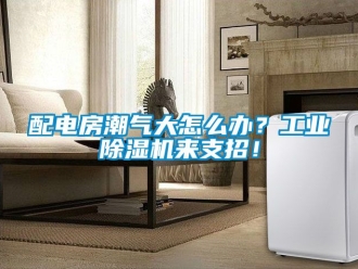 常見問題配電房潮氣大怎么辦？工業(yè)除濕機(jī)來支招！