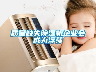 知識百科質量缺失除濕機企業(yè)會成為浮萍