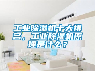 常見(jiàn)問(wèn)題工業(yè)除濕機(jī)十大排名，工業(yè)除濕機(jī)原理是什么？
