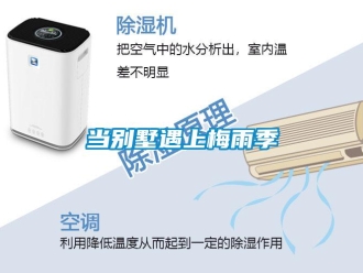 企業(yè)新聞當別墅遇上梅雨季