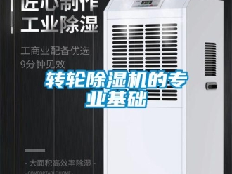 知識百科轉(zhuǎn)輪除濕機的專業(yè)基礎(chǔ)