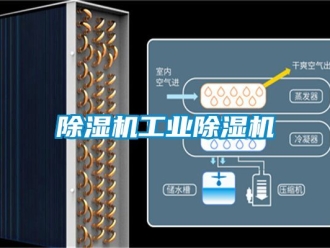 常見問題除濕機工業(yè)除濕機