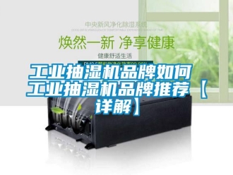 企業(yè)新聞工業(yè)抽濕機(jī)品牌如何 工業(yè)抽濕機(jī)品牌推薦【詳解】