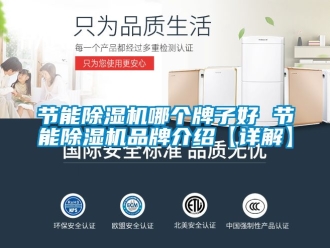 企業新聞節能除濕機哪個牌子好 節能除濕機品牌介紹【詳解】