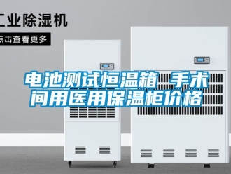 知識百科電池測試恒溫箱 手術間用醫用保溫柜價格