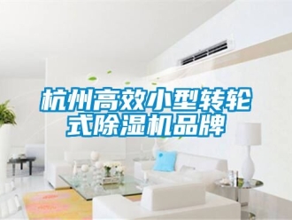 常見問題杭州高效小型轉(zhuǎn)輪式除濕機(jī)品牌
