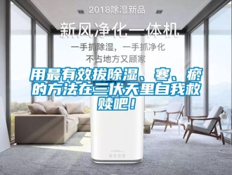 企業(yè)新聞用最有效拔除濕、寒、瘀的方法在三伏天里自我救贖吧！