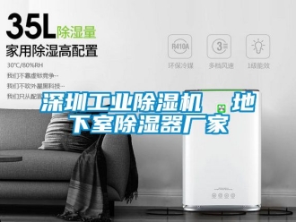 企業新聞深圳工業除濕機  地下室除濕器廠家