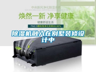 企業新聞除濕機融入在別墅裝修設計中