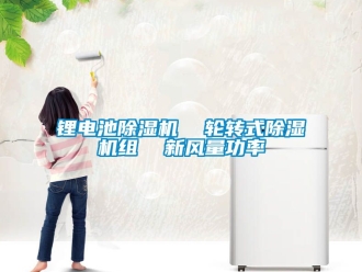 常見問題鋰電池除濕機  輪轉(zhuǎn)式除濕機組  新風量功率