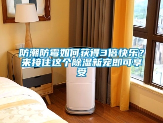 常見(jiàn)問(wèn)題防潮防霉如何獲得3倍快樂(lè)？來(lái)接住這個(gè)除濕新寵即可享受