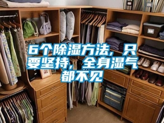 企業(yè)新聞6個(gè)除濕方法, 只要堅(jiān)持, 全身濕氣都不見(jiàn)