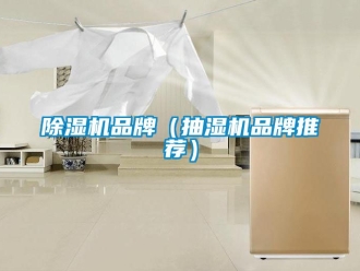 企業新聞除濕機品牌（抽濕機品牌推薦）