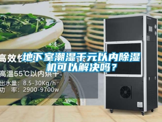 常見問題地下室潮濕千元以內除濕機可以解決嗎？