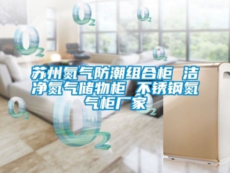 常見問題蘇州氮氣防潮組合柜 潔凈氮氣儲物柜 不銹鋼氮氣柜廠家