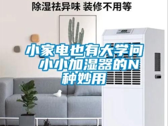 知識百科小家電也有大學問 小小加濕器的N種妙用