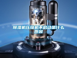 企業(yè)新聞除濕機(jī)壓縮機(jī)不啟動(dòng)是什么原因
