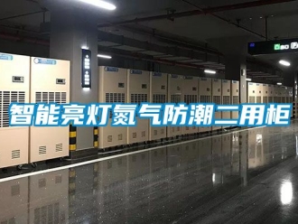 常見問題智能亮燈氮氣防潮二用柜