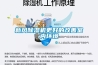 新風除濕機更好的改善室內環境