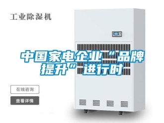 知識百科中國家電企業“品牌提升”進行時